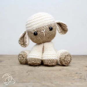 Kit de tricô DIY